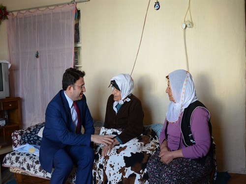 Hozatın Çınarları Projesi